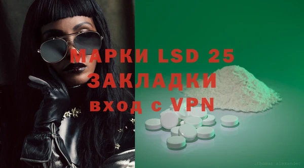 PSILOCYBIN Кукмор