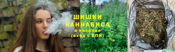PSILOCYBIN Кукмор