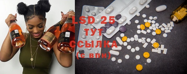 PSILOCYBIN Кукмор